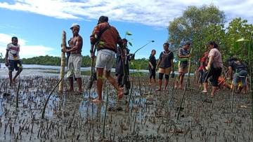 Peringati HUT ke-67 GKI-TP PAM Nunia Tanam Mangrove