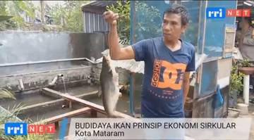 Budidaya Ikan Kembangkan Prinsip Ekonomi Sirkular